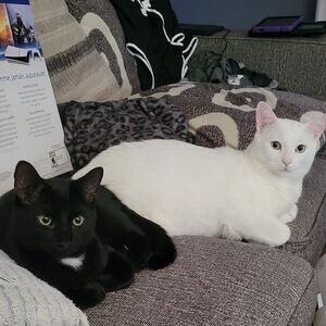 Meet your Posher, Karyne